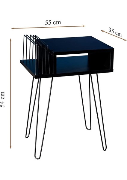 Akıs Home Plak ve Pikap Sehpası Metal Ayaklı Siyah