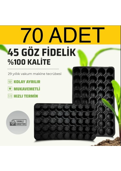 70 Adet 45 Göz Fide Viyolü (Fidelik Fide Altlığı)