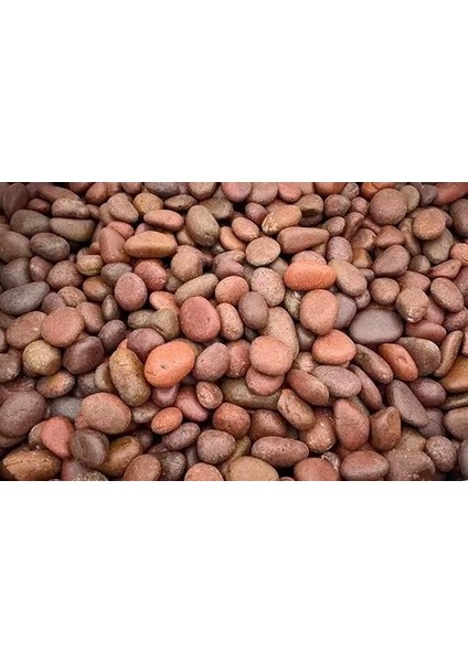 Dolomit Taşı Bordo 2-4 cm 20 kg Doğal Dekorasyon Taşı