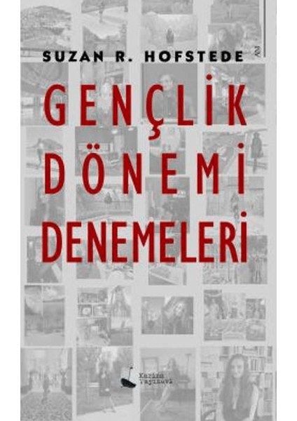 Gençlik Dönemi Denemeleri - Suzan R. Hofstede