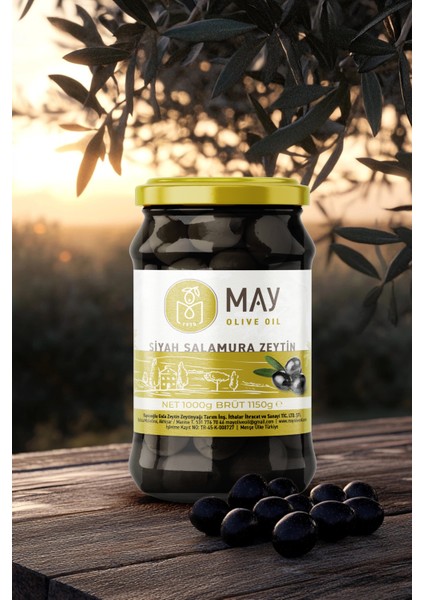 Doğal Siyah Salamura Zeytin - 1KG | MAY Olive Oil | Taze, Katkısız ve Ege'nin Özgün Lezzeti