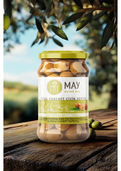 Yeşil Edremit Çizik Zeytin – 1 KG | MAY Olive Oil | Taze, Katkısız, Ege’nin Seçkin Lezzeti