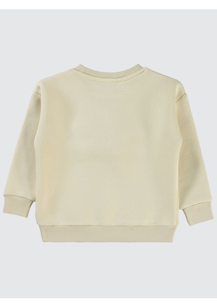 Kız Çocuk Sweatshirt 2-5 Yaş Tebeşir fiyatları