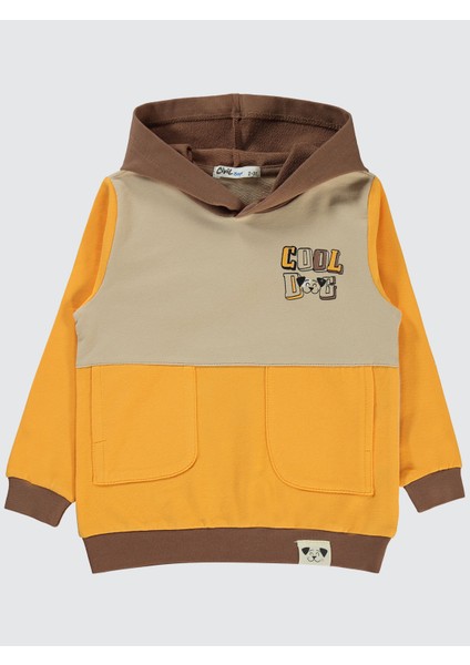 Erkek Çocuk Kapşonlu Sweatshirt 2-5 Yaş Sarı