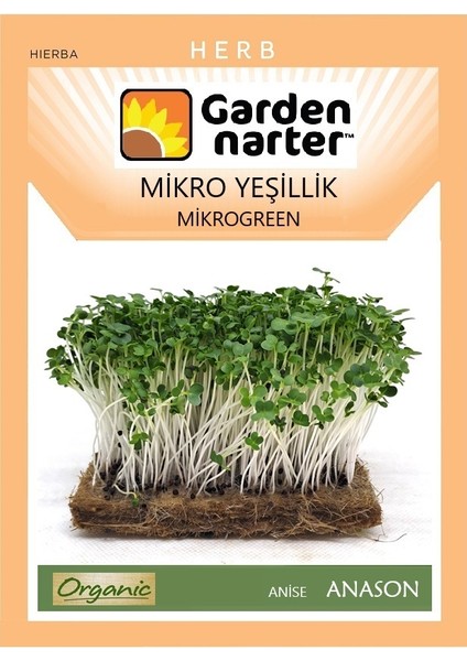 Mikro Yeşillik Için Microgreen Organik Anason Tohumu 12 gr 4000 Tohum