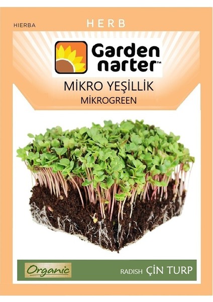 Garden Narter Mikro Yeşillik Için Microgreen Organik Çin Turpu Tohumu 15 gr 1700 Tohum