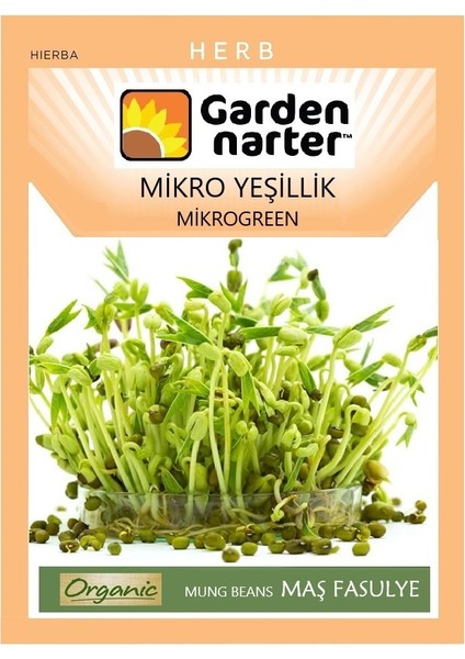 Mikro Yeşillik Için Microgreen Organik Maş Yeşil Fasulye Tohumu 30 gr 120 Tohum