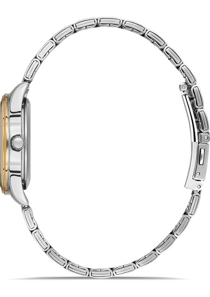 FL21464A-D6 Quartz Çelik Altın/gri Yeşil Kadran 31 mm Kadın Kol Saati fiyatları