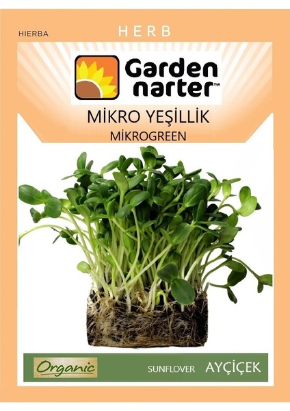 Garden Narter Mikro Yeşillik Için Microgreen Organik Mini Ayçiçek Tohumu 50 gr 400 Tohum