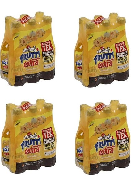 Frutti Extra Kavunlu 250 ml x 24 Adet