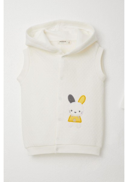 Erkek Bebek Zıbınlı 3 Lü Takım Tavşancık Nakışlı Kapüşonlu 4 Ay-1 Yaş, Ekru modelleri