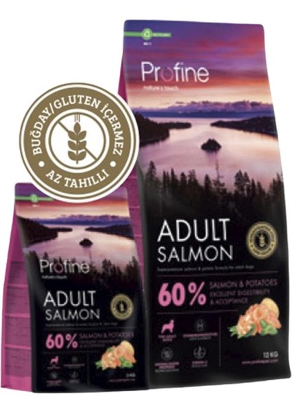 3 kg Gluten Free Adult Salmon Glutensiz Somon Etli Yetişkin Köpek Maması