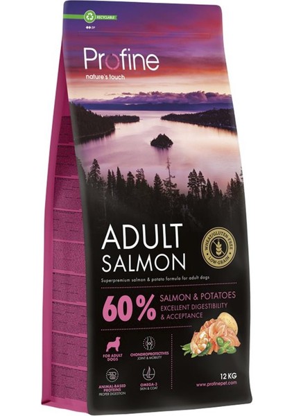 12 kg Gluten Free Adult Salmon Glutensiz Somon Etli Yetişkin Köpek Maması