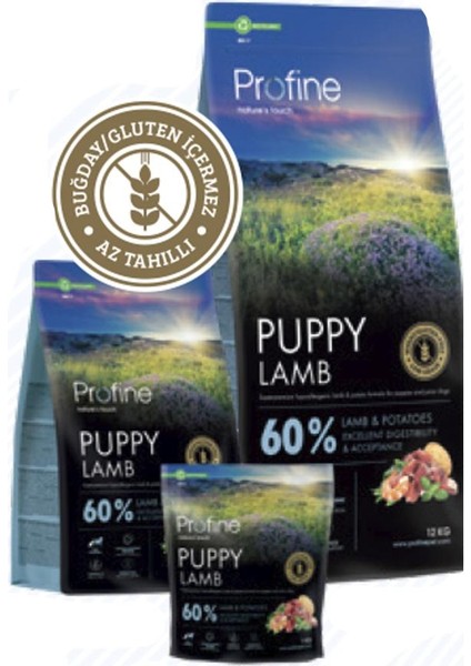 12KG Gluten Free Puppy Lamb Glutensiz Kuzu Etli Yavru Köpek Maması