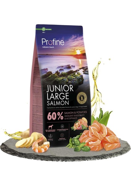 12 kg Gluten Free Junior Large Salmon Glutensiz Iri Irk Somon Etli Yavru Köpek Maması