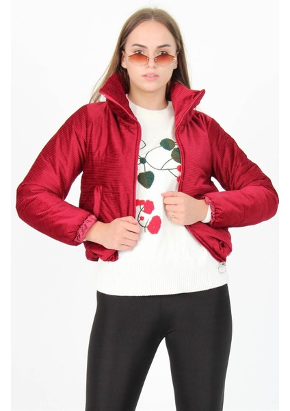 Dipmoda Kadın Yüksek Yaka Fermuar Detaylı Cepli Kışlık Kadife Mont DP7154 fiyatları