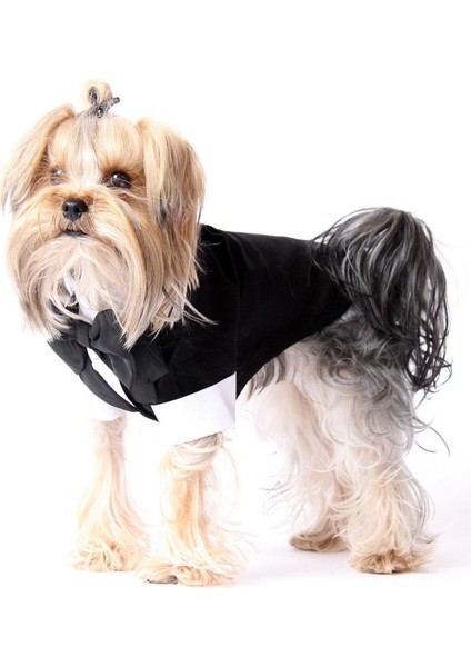 Pet Smokin Siyah Köpek ve Kedi Için Düğün Nikah Nişan Evlilik Kıyafeti Damatlık fiyatları