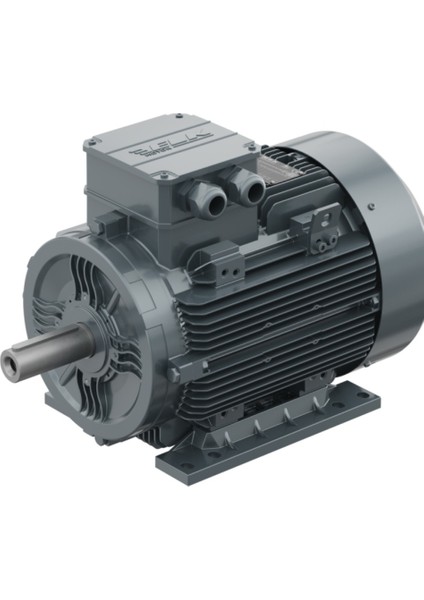 0.75 Kw, 3000 Devir, B3 Ayaklı