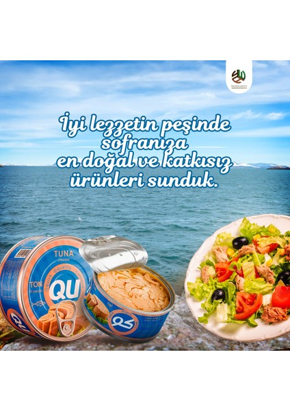 Tatlı Ton Balığı 160 gr