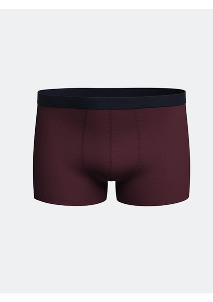 Lc Waıkıkı Standart Kalıp Pamuklu Esnek Erkek Boxer 3'lü fırsatları