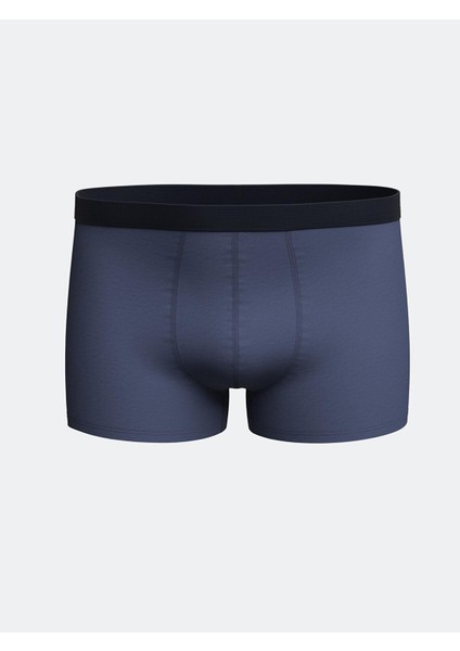 Lc Waıkıkı Standart Kalıp Pamuklu Esnek Erkek Boxer 3'lü fırsatları