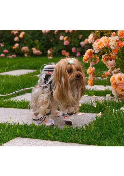 Su Geçirmez Kedi Köpek Ayakkabısı Krem