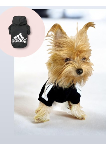 Black Adidog Kapşonlu Sweatshirt Köpek Kazağı
