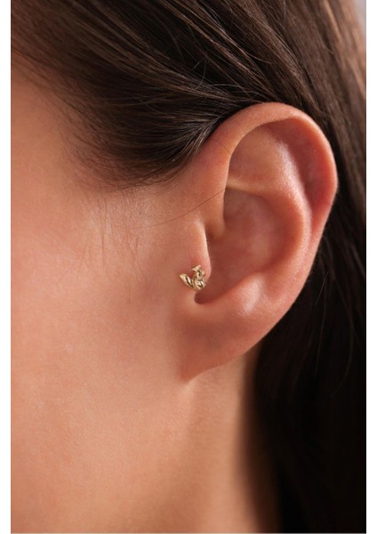Sincap Tragus Küpe