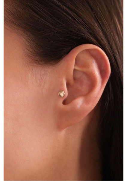 Shell Deniz Kabuğu Tragus Küpe