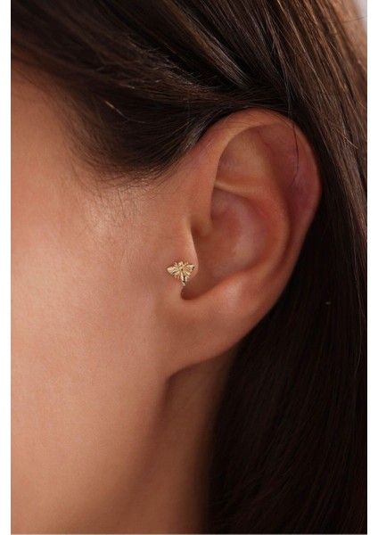 Arı Tragus Küpe
