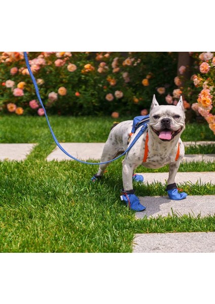 Su Geçirmez Kedi Köpek Ayakkabısı Mavi