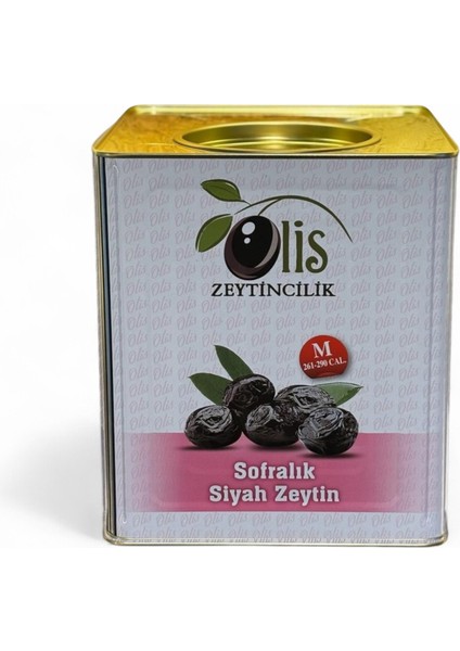 Siyah Zeytin Süzme Ağırlık 10 kg M. 261290 Kalibre Teneke