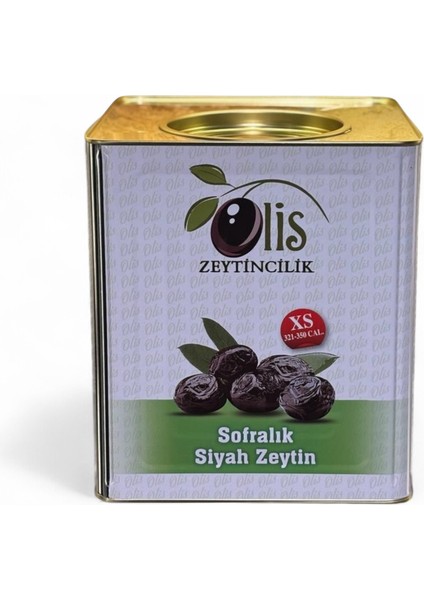 Siyah Zeytin Süzme Ağırlık 10 kg Xs. 321350 Kalibre Teneke