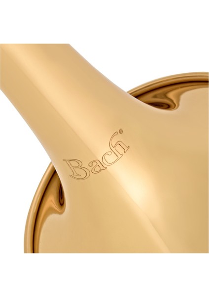 TR501 Bb Trompet fiyatları