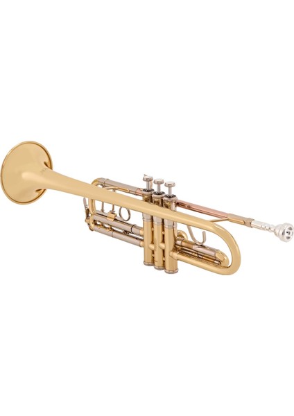 TR501 Bb Trompet modelleri