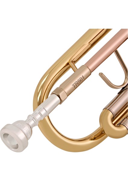 TR501 Bb Trompet fırsatları