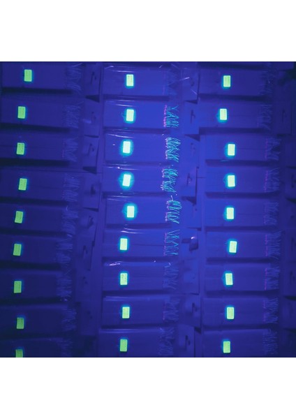 Çapari İstavrit Çaparisi, 15x12 Beden, Ultraviyole Uv Neon Gri Sim, 11 No Beyaz İğne 10 İğneli Çapari 2li Paket