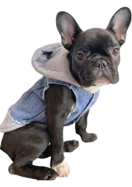 Köpek Jean Kot Yelek Gri Kapşonlu