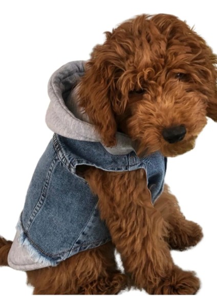 Köpek Jean Kot Yelek Gri Kapşonlu