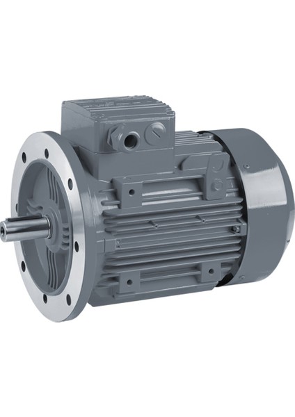 4 Kw, 3000 Devir, B5 Flanşlı