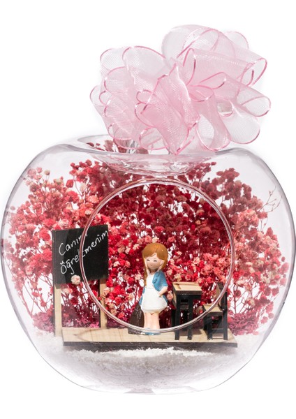 Teraryum Sınıfta Canım Öğretmenim - Pembe - Sarışın Mavi Elbiseli 2