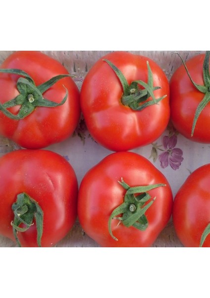 Domates Tane Salkım ( Çoklu Tohum ) 2274 - 3 Gram