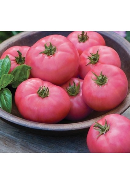 Domates Pembe ( Çoklu Tohum ) - 100 Adet