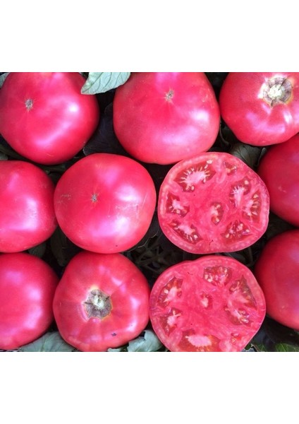 Domates Pembe ( Çoklu Tohum ) - 100 Adet