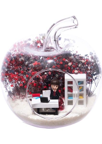 Teraryum Mini Yeni Iş Kadın Kumral-Cipsomiks--5 modelleri