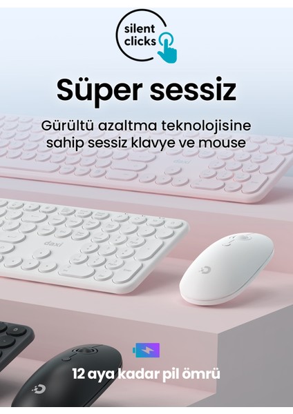 MK250 Elegance Sessiz 2.4ghz Kablosuz Türkçe Q Klavye Mouse Seti