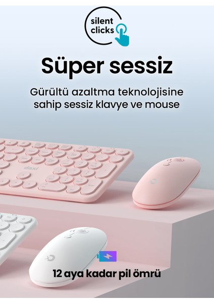 MK250 Elegance Sessiz 2.4ghz Kablosuz Türkçe Q Klavye Mouse Seti