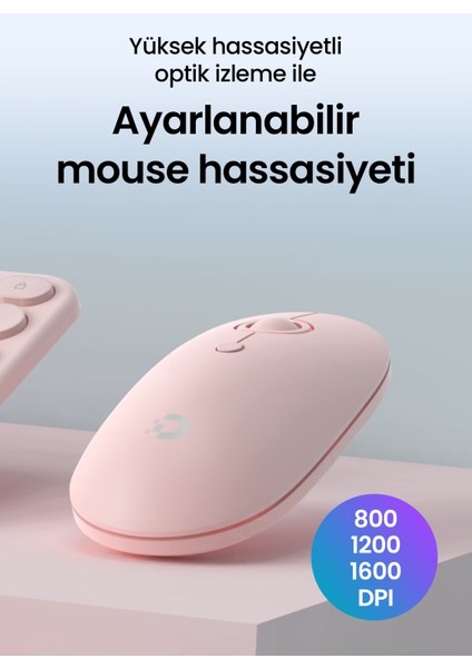 MK250 Elegance Sessiz 2.4ghz Kablosuz Türkçe Q Klavye Mouse Seti