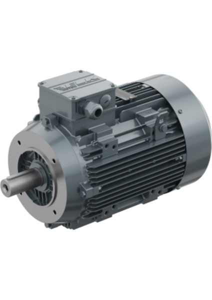 1,1 Kw, 3000 Devir, B14 Flanşlı