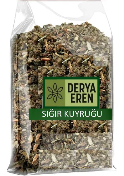 Sığır Kuyruğu Verbascum Thapsus 100 grr